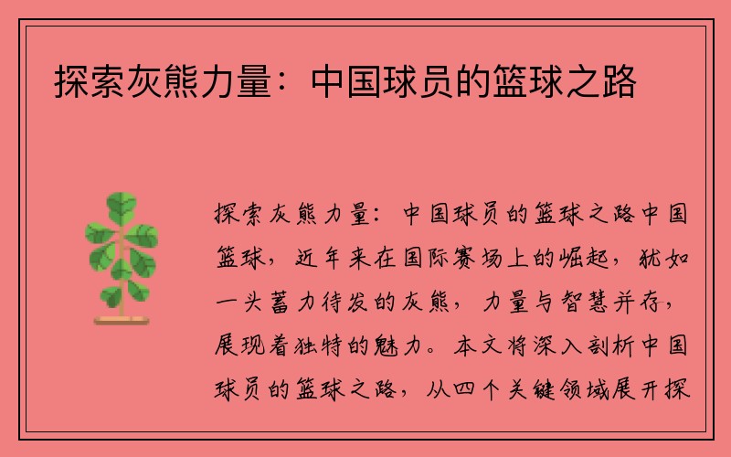 探索灰熊力量：中国球员的篮球之路