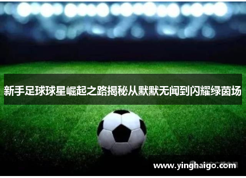 新手足球球星崛起之路揭秘从默默无闻到闪耀绿茵场
